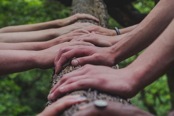 main sur un tronc, travail collectif dans la nature, éco-lieux, communauté, wwoofing
