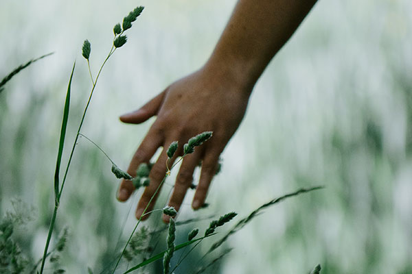 main de personnes en entretien pour parler de sa place en entreprise et de l'évolution de sa carrière